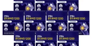 2024 관절엔 콘드로이친 1200 1개월분 특가정보