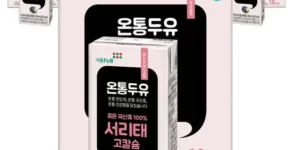 가성비최고 맛있는家 온통두유 서리태통두유 99.8 190mL 80팩 TOP 제품