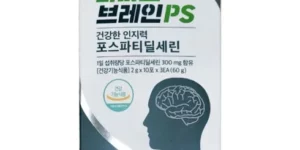 2024 파마코 브레인PS 6개월분 BEST 추천제품