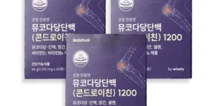 2024년 최고의 관절건강 콘드로이친 뮤코다당 단백 1200 12박스 랭킹순위